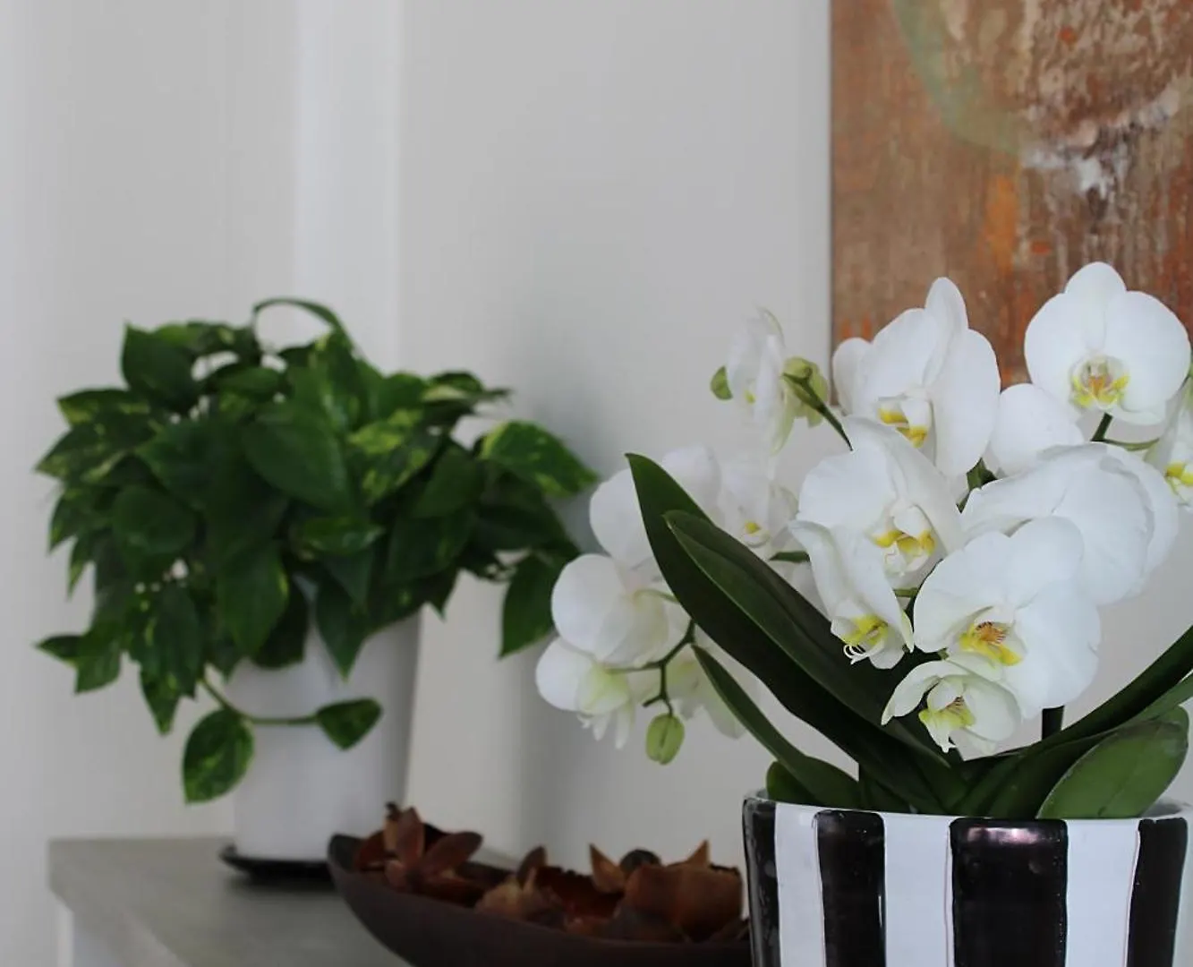 Unico Loft Apartment Rimini 0*,